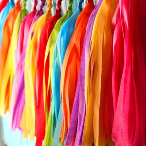 FIESTA Handmade Tissue Tassel Garland / Fiesta Tassel Backdrop / Fiesta Bunting / Bright Colors Garland image 3