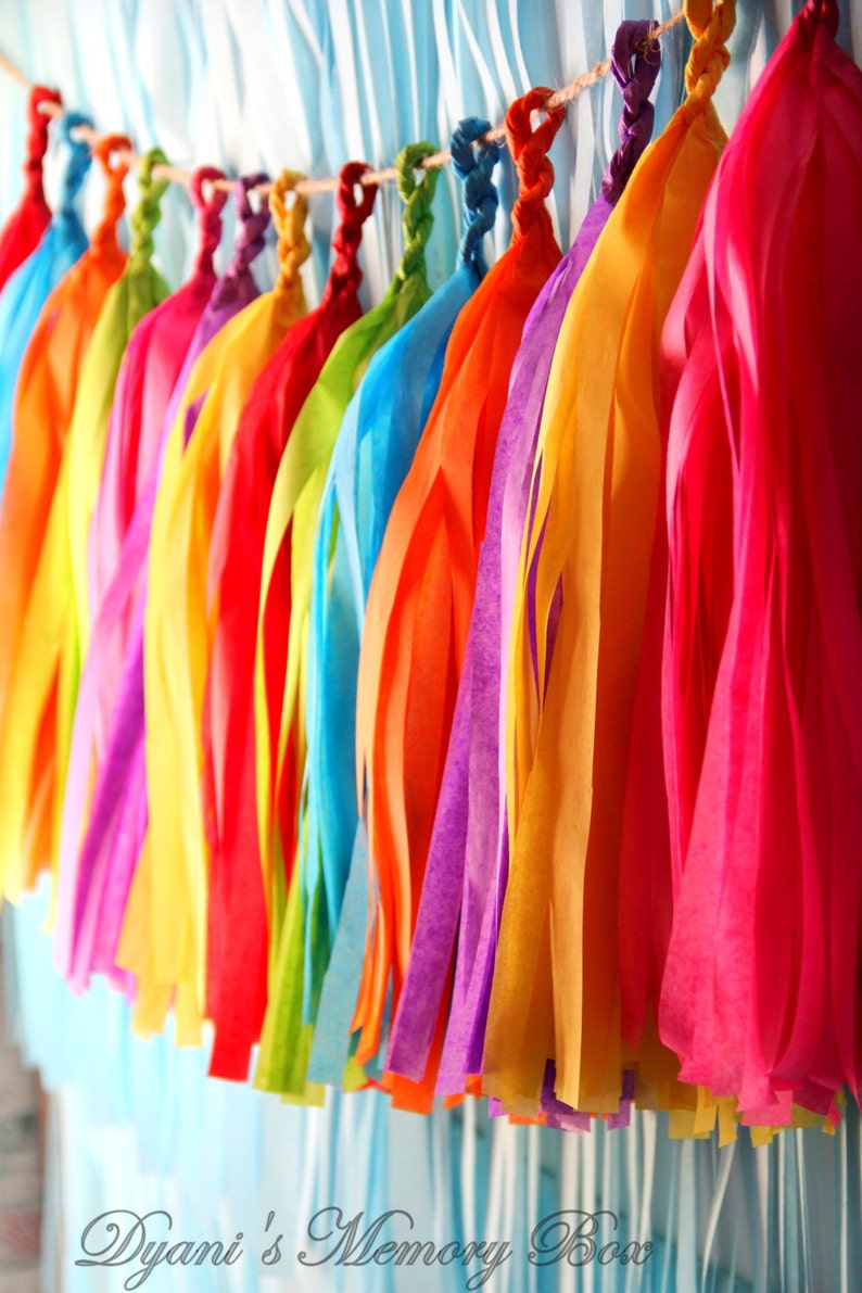 FIESTA Handmade Tissue Tassel Garland / Fiesta Tassel Backdrop / Fiesta Bunting / Bright Colors Garland image 3