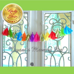FIESTA Handmade MINI Tissue Tassel Garland / Fiesta Tassel Backdrop / Fiesta Bunting / Bright Rainbow Colors Garland