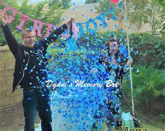 Gender Reveal Balloon, 36" Confetti Filled with Pink & Blue Tassels