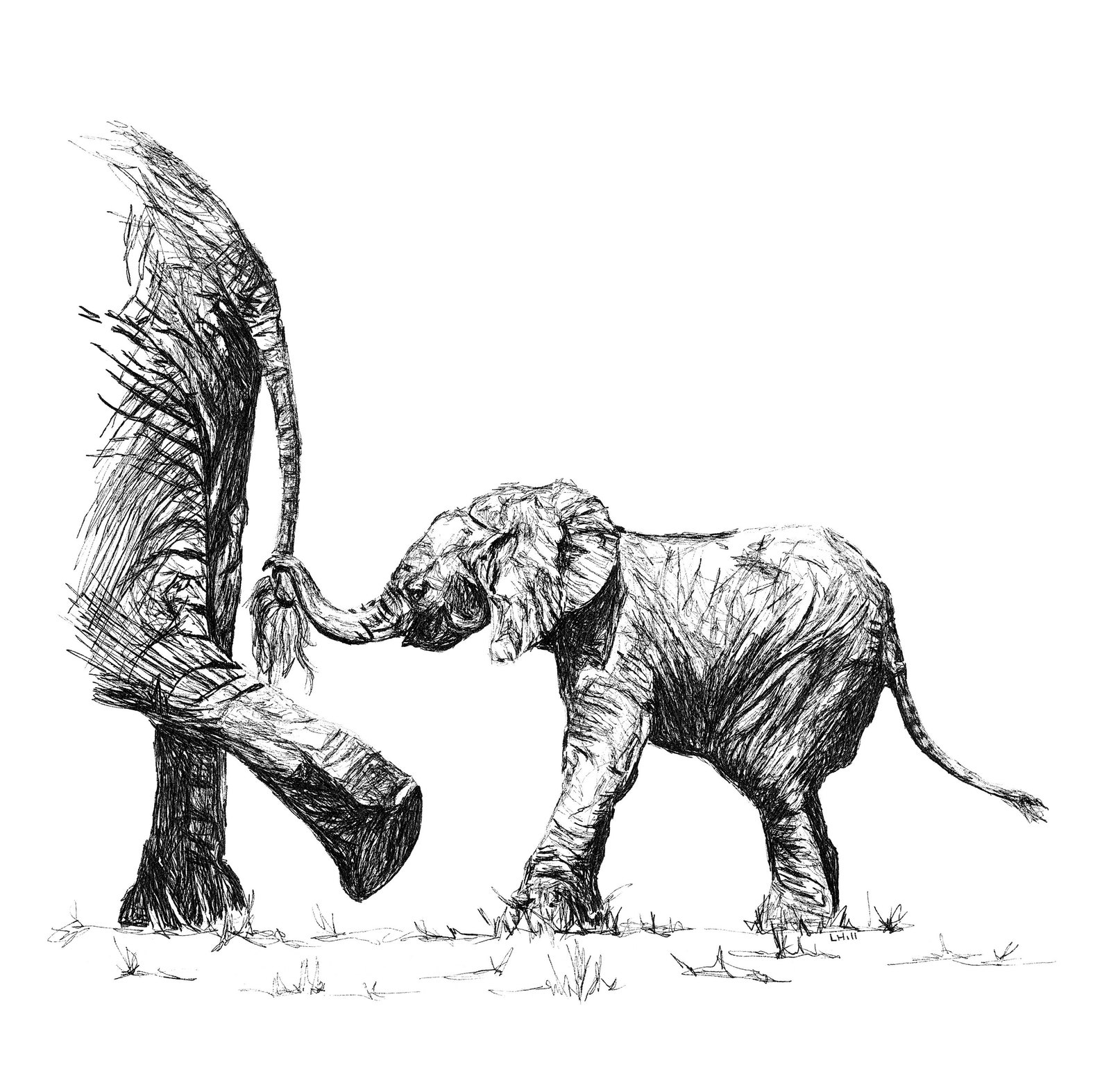 Baby Elephant and Mum Black and White Pen and Ink Greeting Etsy