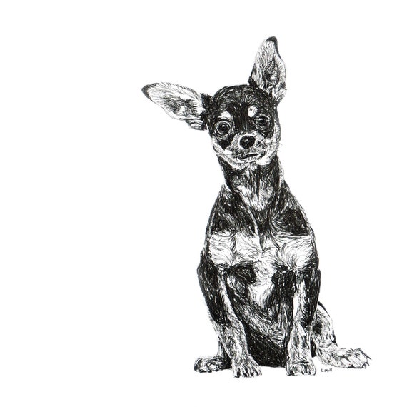 Chihuahua pen cheap