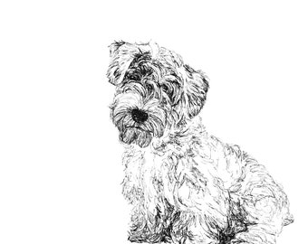 Sealyham Terrier, black and white, pen and ink greeting cards