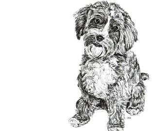 Cavapoo Dog, black and white, pen and ink greeting cards