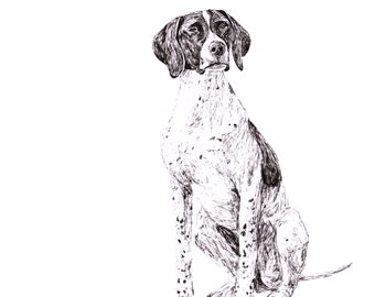English Pointer, black and white, pen and ink greeting cards
