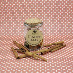 Puede incluir: Un frasco de vidrio lleno de palitos de canela, rodajas de naranja y otras especias. El frasco tiene una tapa de corcho y una etiqueta de papel marrón que dice "Stovetop Simmer" y "Add water & simmer on low".