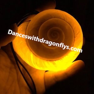 Ursula’s lite up necklace Glowing &quot;Nautilus&quot; Shell Necklace - Inspired - Handcrafted Original Designer