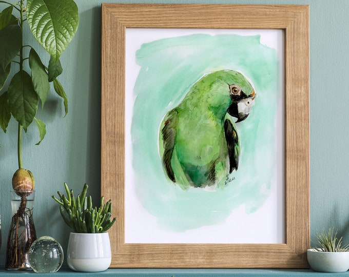 Featured listing image: Green Parrot Wall Art, Tropical Decor, Bird Wall Art, Animal Art