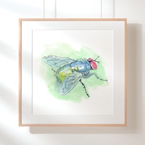 Fly On The Wall Poster, Watercolor Insect Home Décor, Fly Wall Art, Original Fly Artwork Print