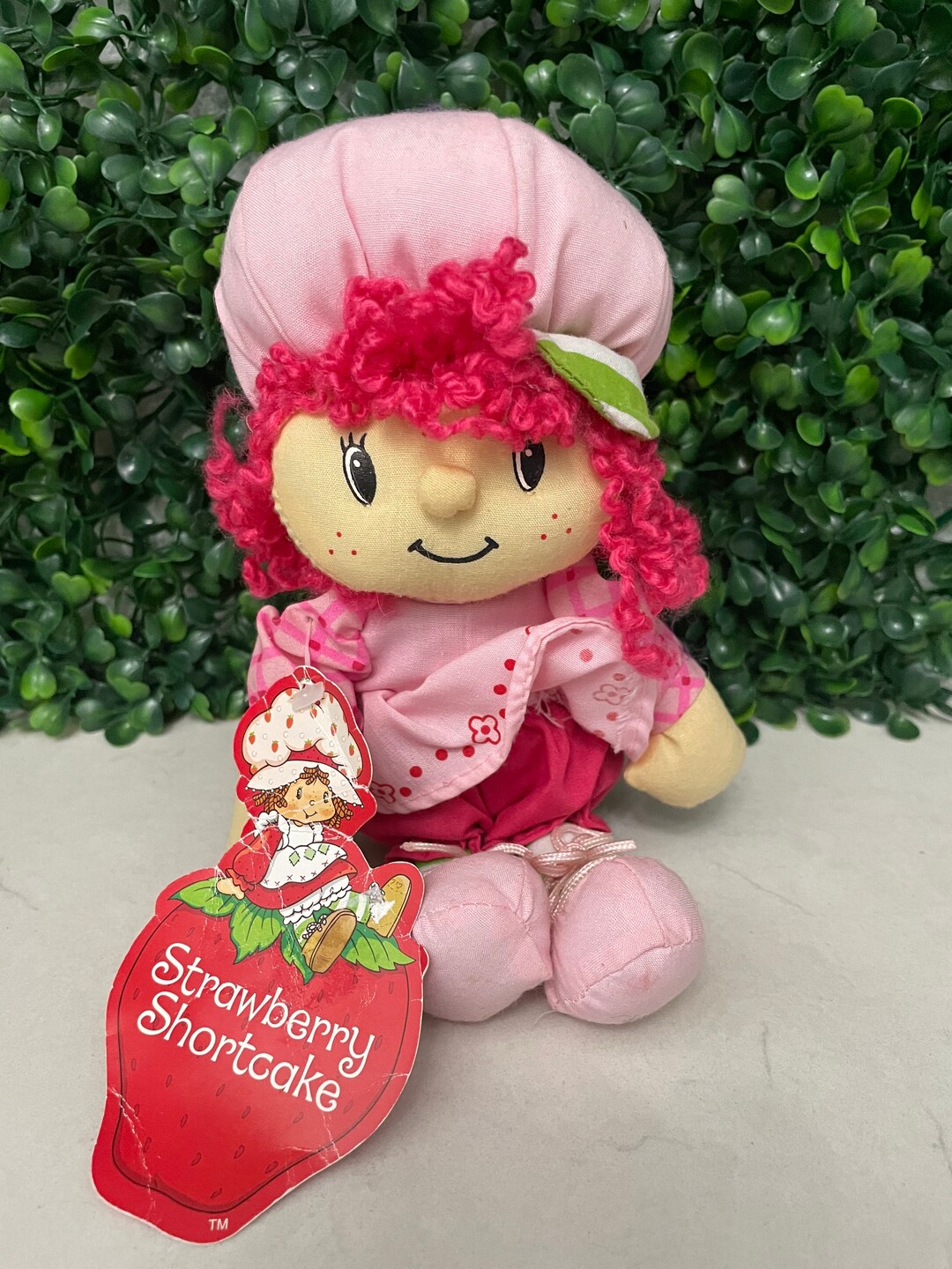 Strawberry Shortcake Plush 8 Doll With Tagvintage2003 Etsy