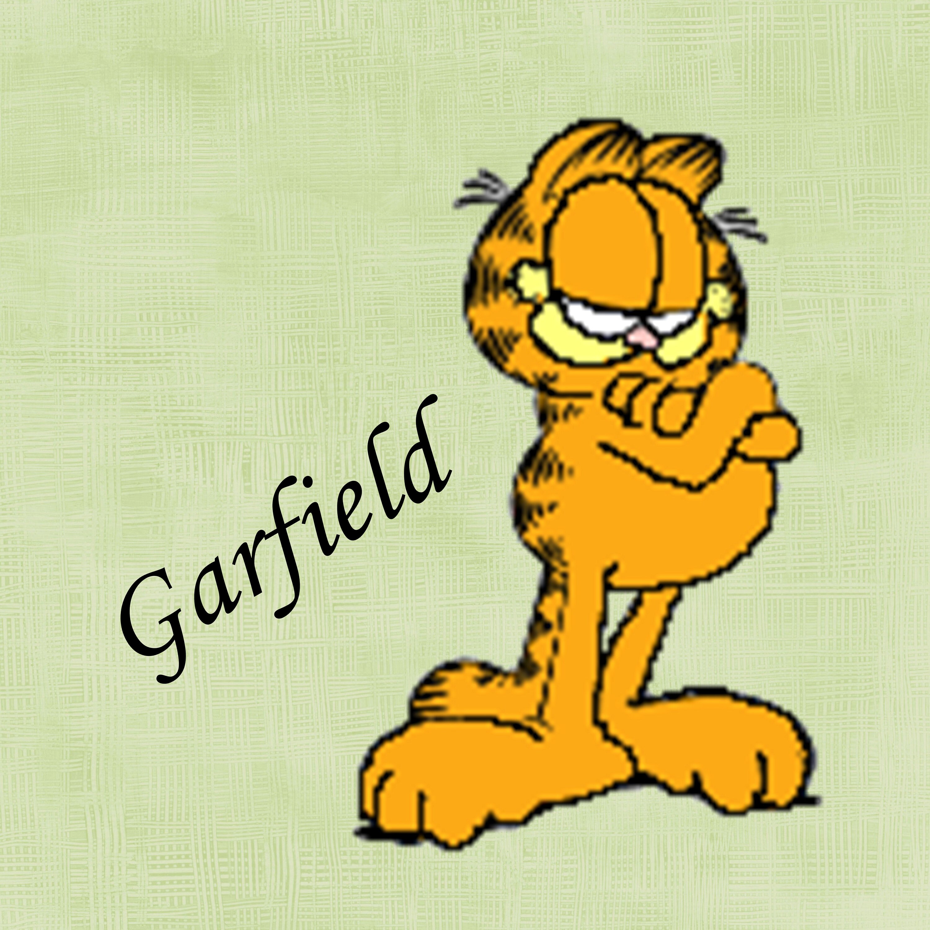 Garfield Costume Etsy