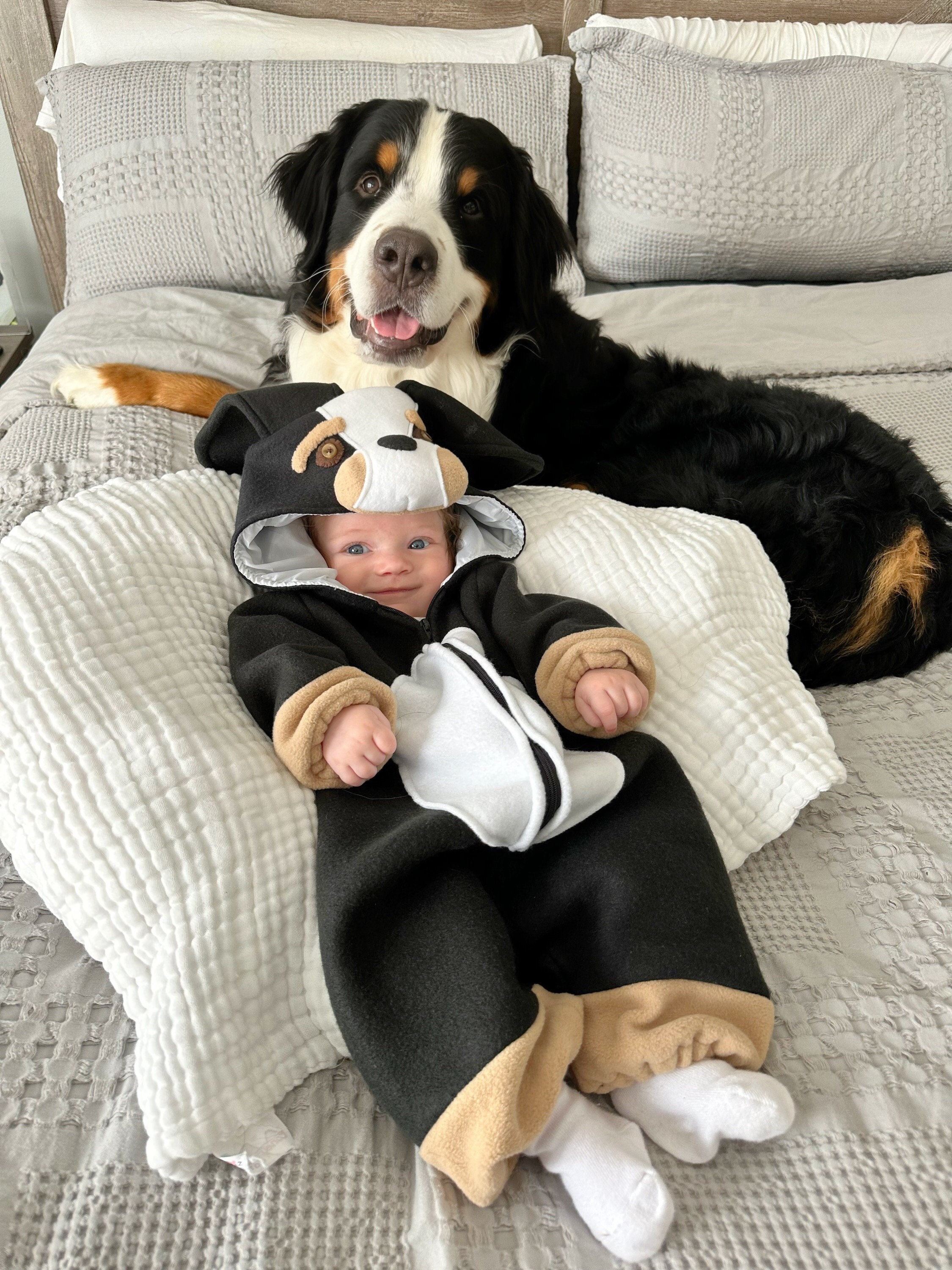 Disfraz de perro Storybook para bebés de 0/3 meses