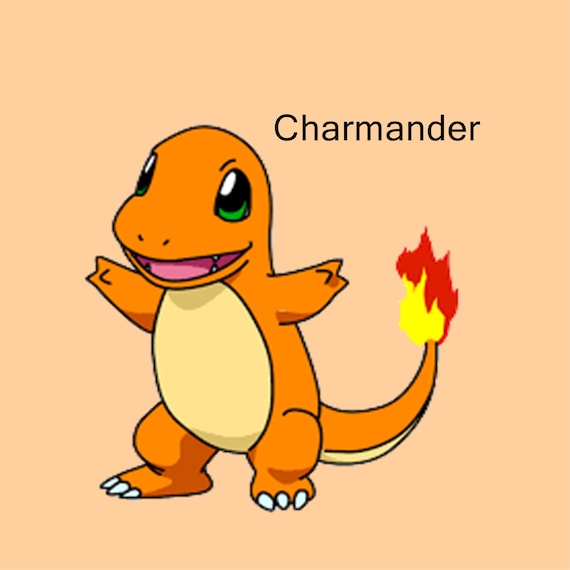 Pokemon Charmander costume custom-fatto bambino dimensioni.