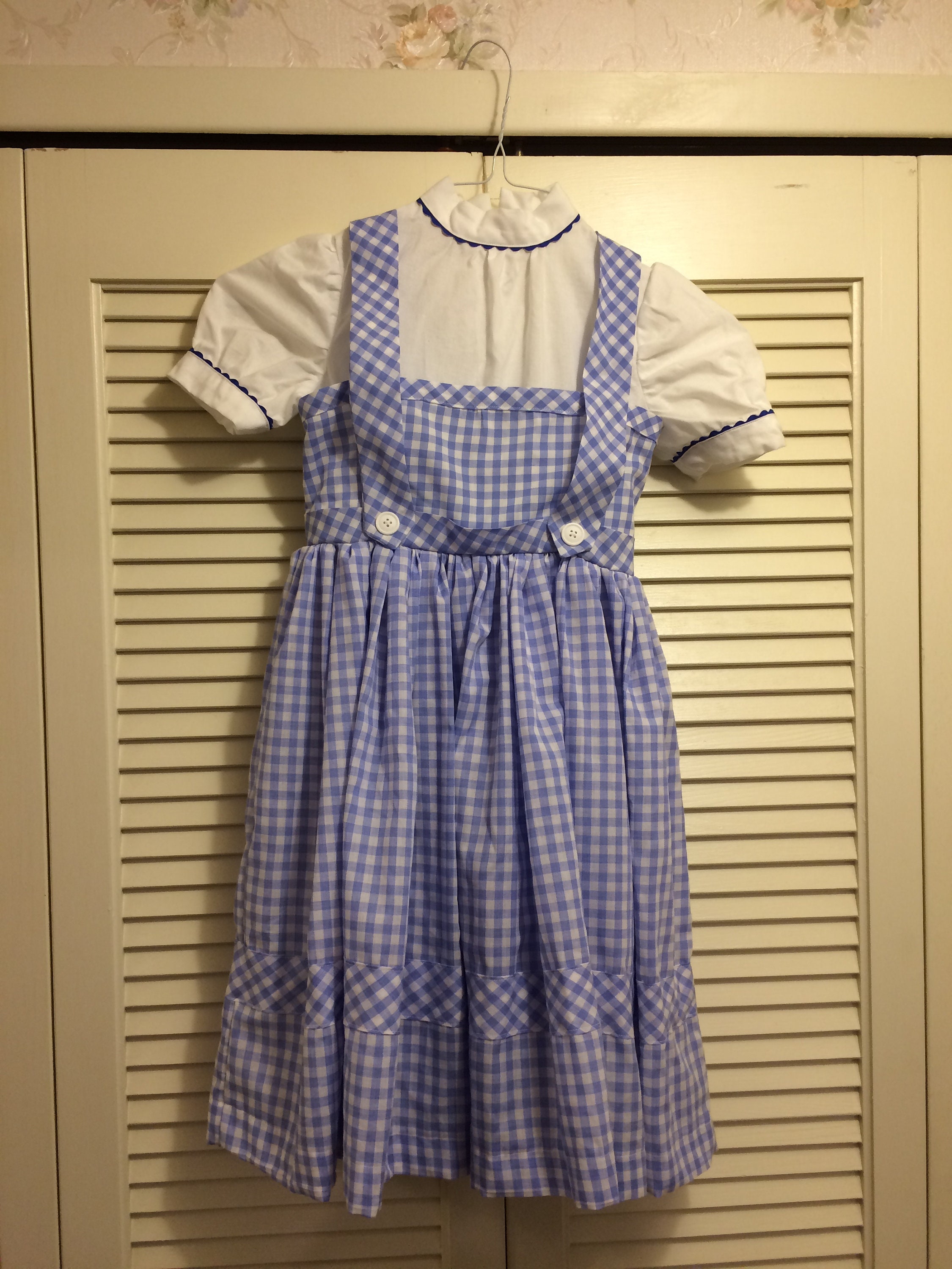 Girls Wizard of Oz Dorothy Dress Costume Ages About 3-8 - Etsy Canada