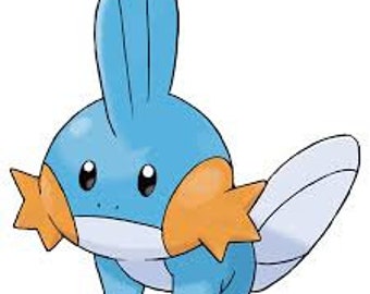 Pokemon Mudkip Costume Custom-made Child Sized