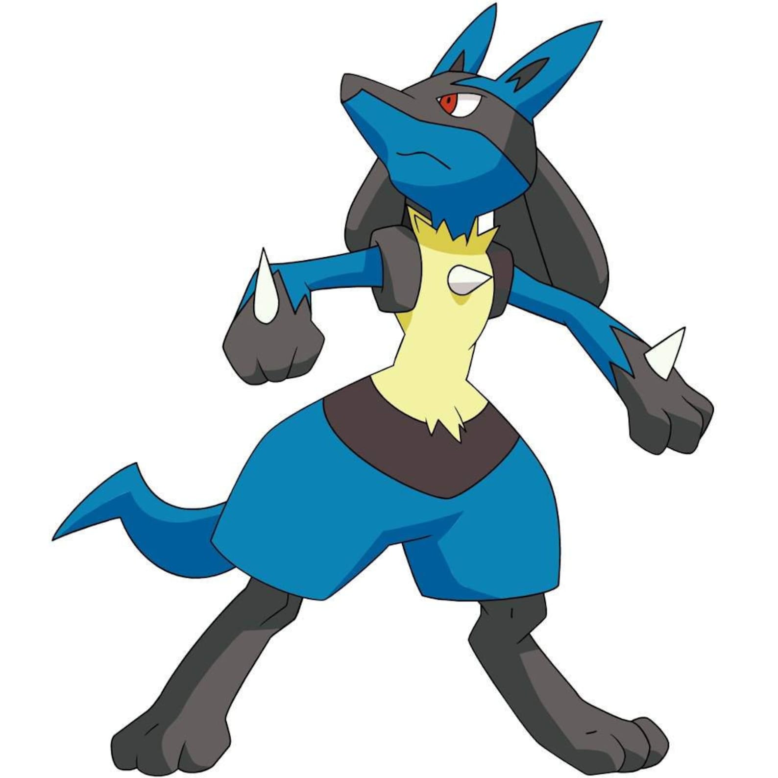 Pokemon Lucario Costume Child.