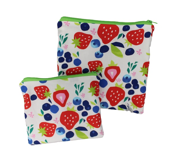 Reusable Snack and Sandwich Berries