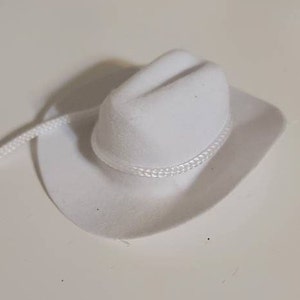 May include: A white cowboy hat with a white braided band around the crown.