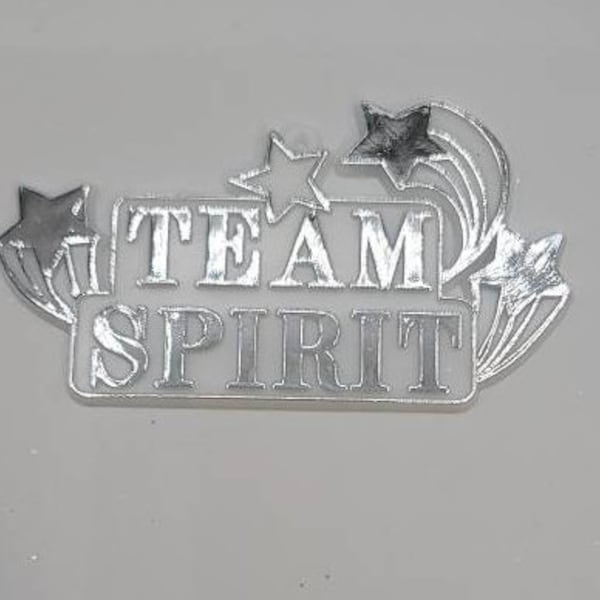 Team Spirit/We've Got Spirit Homecoming Trinket Gold and Silver