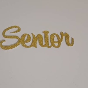 Diamond Letter SENIOR Homecoming Trinkets