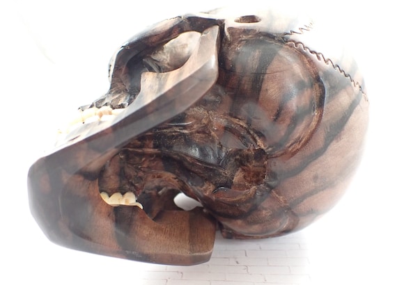 1 Charcoal Wood Skull Carving - Brown Striped Indonesian Hand