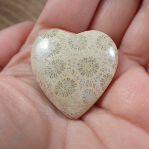 May include: A heart-shaped polished stone with a white and gray fossilized coral pattern.