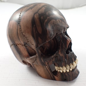 1 Charcoal Wood Skull Carving - Brown Striped Indonesian Hand Carved - Human Skull Replica - Large Hinged Jaw Cow Bone Teeth - Wood Skull
