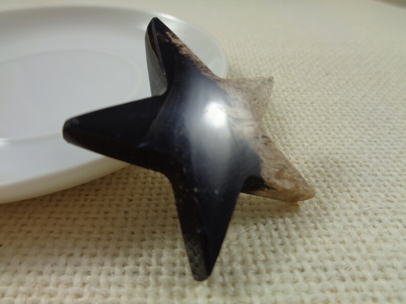 1 Indonesian Fossilized Palm Root Star Shaped Cabochon 40x5mm Thick Smooth Polished Star Shaped Cabochon NO HOLE Black Tan Cabochon #S4679