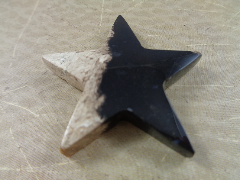 1 Indonesian Fossilized Palm Root Star Shaped Cabochon 40x5mm Thick Smooth Polished Star Shaped Cabochon NO HOLE Black Tan Cabochon #S4679