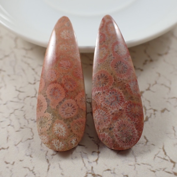 2 Pcs Pink Fossil Coral Cabochons - Matching Pair Long Teardrop Cabs - No Hole Smooth Polished - Tan Brown Pink Natural Fossil Coral #S5866