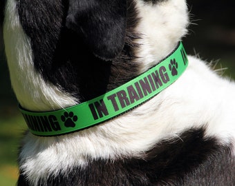 In Training Dog Collar, Adjustable or Martingale, With Optional Leash