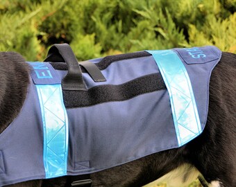 ecogear dog life jacket