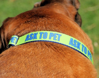 Ask To Pet Dog Collar, With Optional Leash