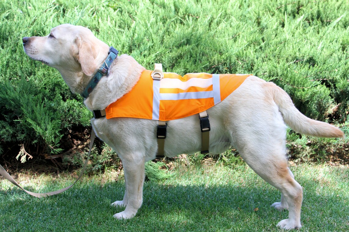Search & Rescue Dog Vest SAR Vest Etsy