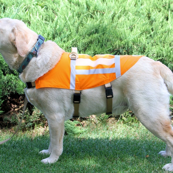 Search & Rescue Dog Vest, SAR Vest