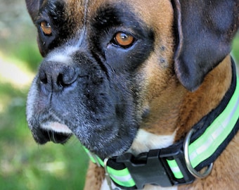 Firefighter Bunker Gear Reflective 1-1/2&quot; Dog Collar, Bunker Gear Dog Collar, Firefighter Turnout Dog Collar With Optional Matching Leash