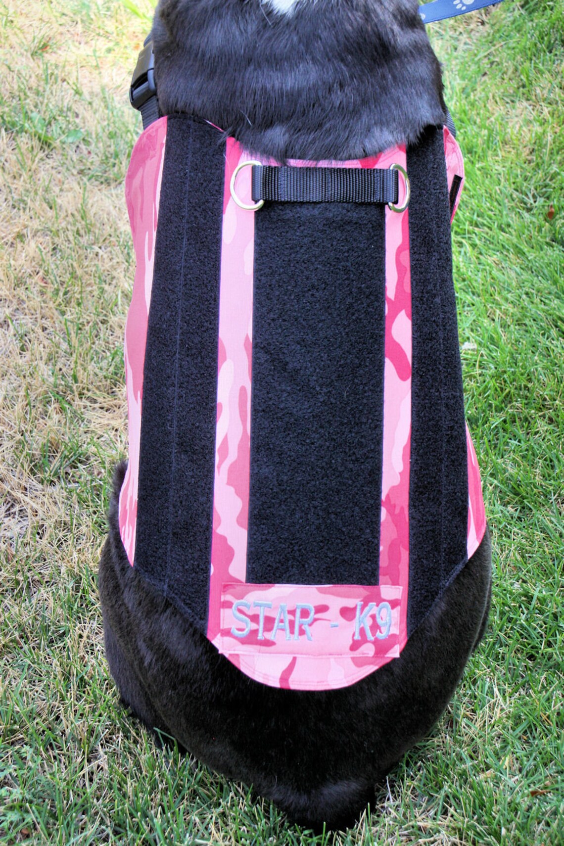 Veterans Camo Service Dog Vest Therapy Dog Vest Etsy