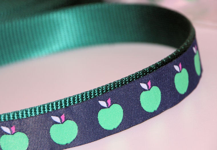 Green Apple Adjustible Dog Collar, with Optional Matching Leash