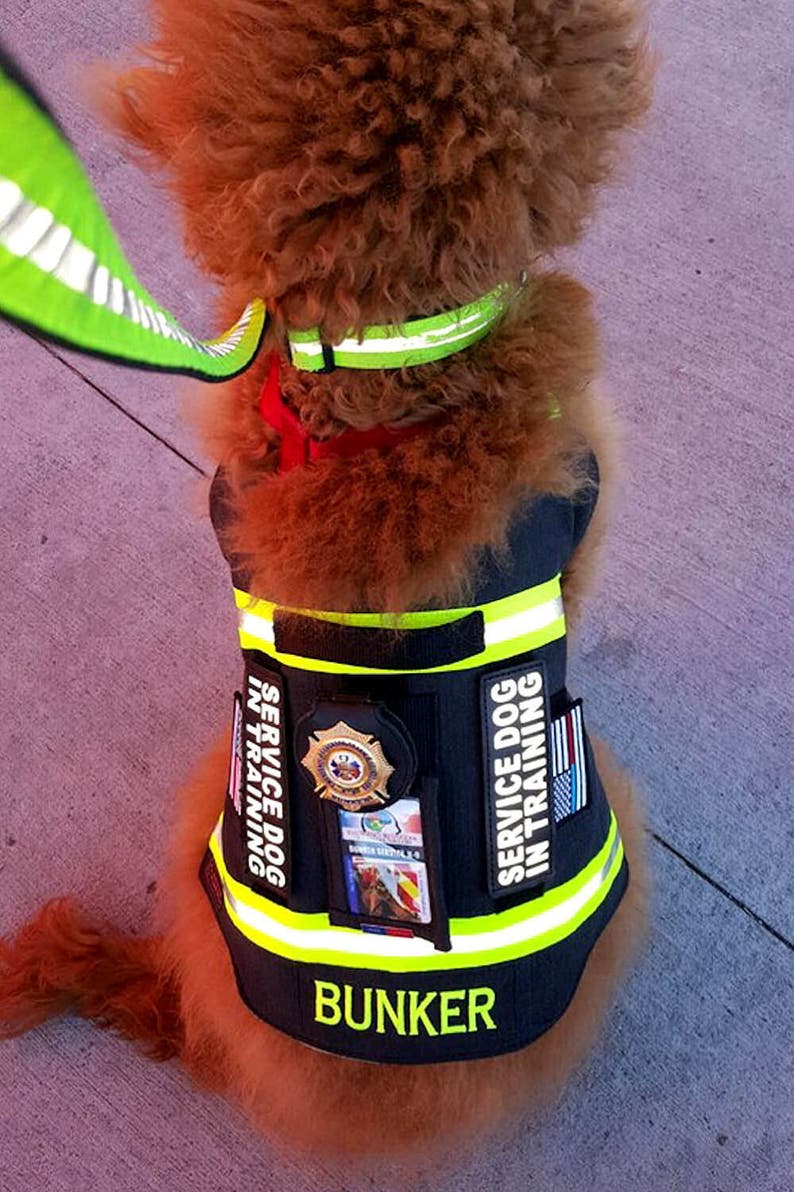 Bunker's Gear Service Dog Vest Therapy Dog Vest Etsy