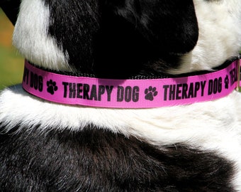 Therapy Dog Collar, Adjustable or Martingale, With Optional Leash