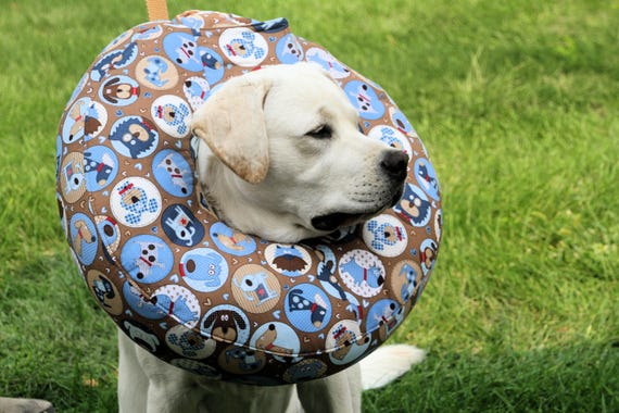 Elizabethan Collar For Dog With Plastic Cone Petco Cat Collars