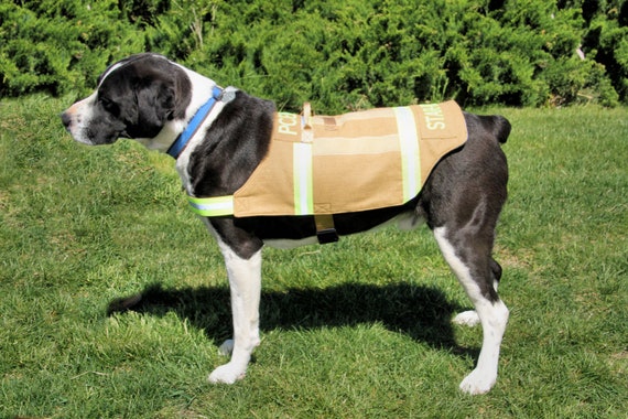 custom service dog vest etsy