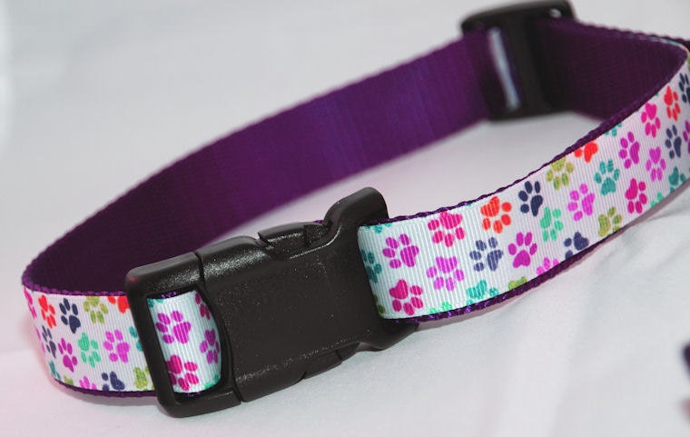 Purple Rainbow Dog Collar, Adjustible Or Martingale, With Optional Matching Leash