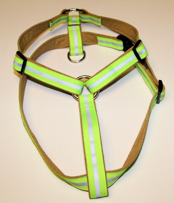 Dog bunker gear hotsell