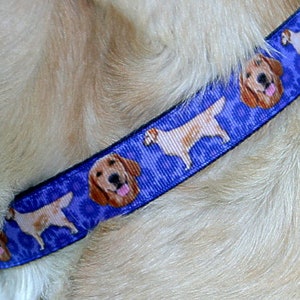 Golden Retriever, Adjustable or Martingale Dog Collar, with Optional Matching Leash
