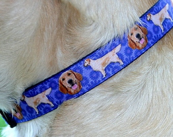 Golden Retriever, Adjustable or Martingale Dog Collar, with Optional Matching Leash