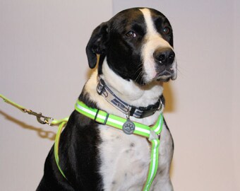 Reflective Dog Harness, Top or Front Hook, With Optional Matching Leash