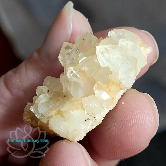 Untreated Citrine Quartz Point Crystal Cluster
