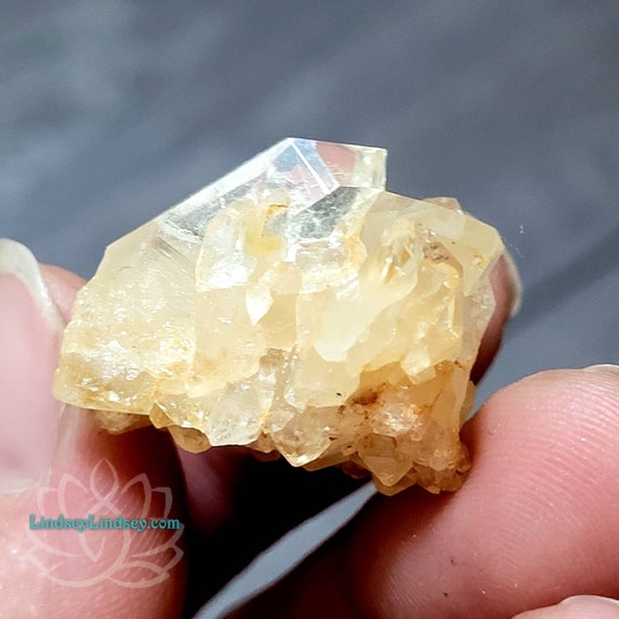 Untreated Citrine Quartz Point Crystal Cluster