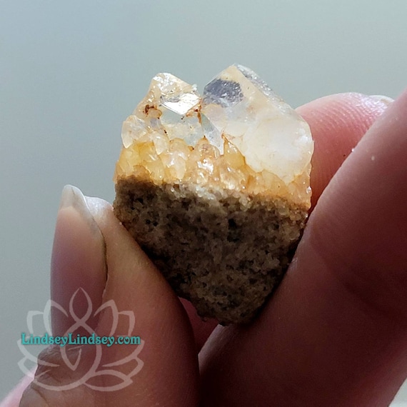 Untreated Citrine Quartz Point Crystal Cluster